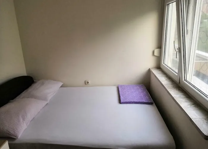 Brlecic 피로바츠